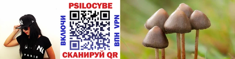 Купить  Коммунар  Псилоцибиновые грибы Psilocybine cubensis 